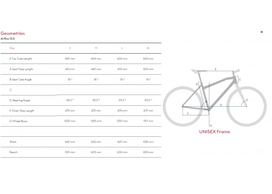 R Raymon AirRay 10.0 - Sähkömaastopyörä / EMTB - Image 4
