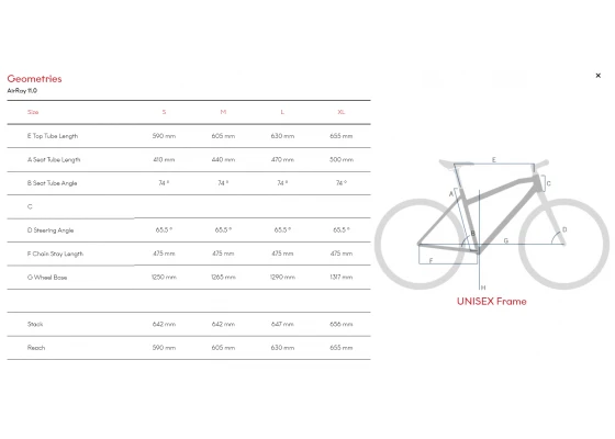 R Raymon AirRay 11.0 - Sähkömaastopyörä / EMTB - Image 5
