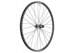 DT SWISS Takakiekko 29" X 1900 Spline DB 19.5, 12x148mm