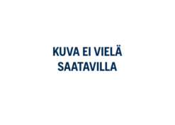 Fantic Fatbike Kammet